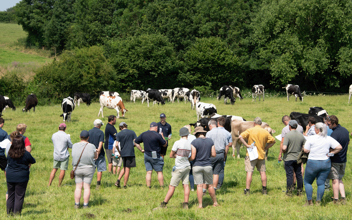Group of Shropshire farmers looking at grazing dairy cows in the sunshine 