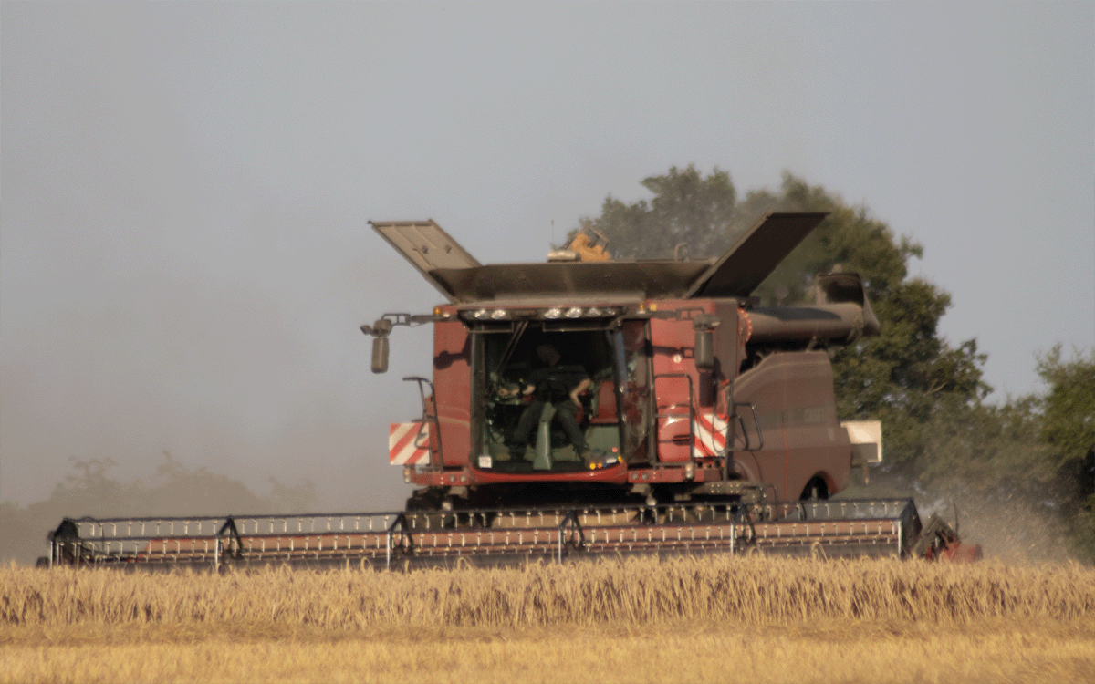 Case Combine Harvester harvesting winter wheat in Shropshire, UK