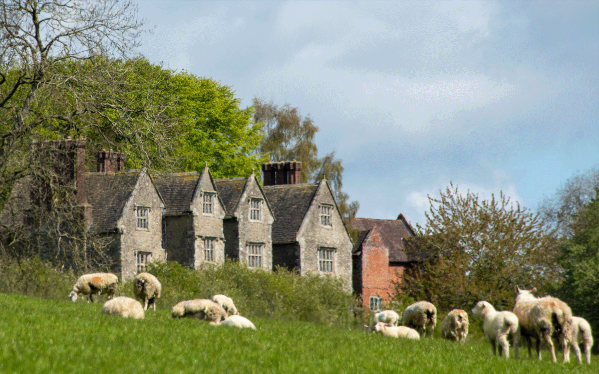 Sheep grazing in front of Wilderhope Manor